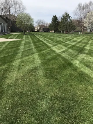 Professional lawn care with clean striping in Merriam by Volz Lawn & Landscape